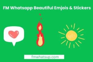 Simplified: How to Download and Install FM WhatsApp